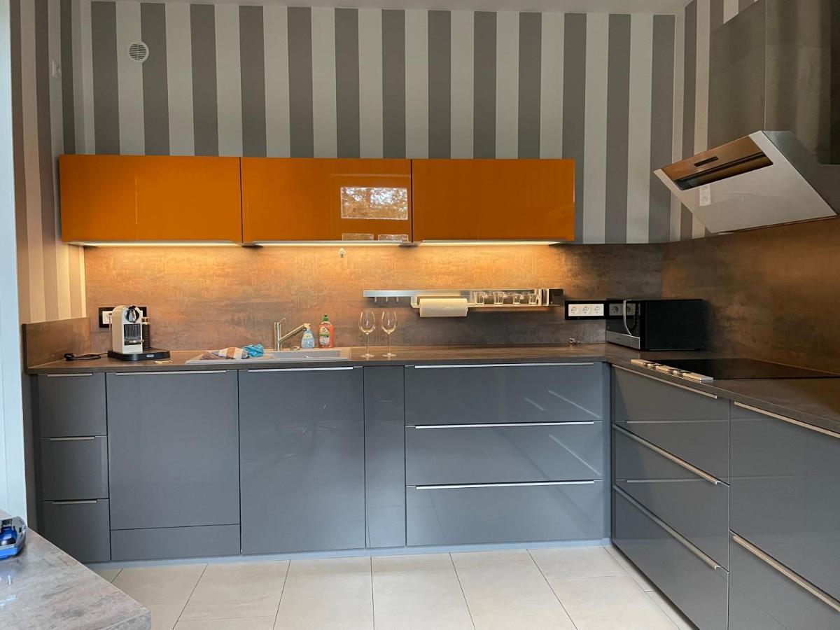 Helle Terrassenwohnung In Traumlage Von Dresden Dış mekan fotoğraf