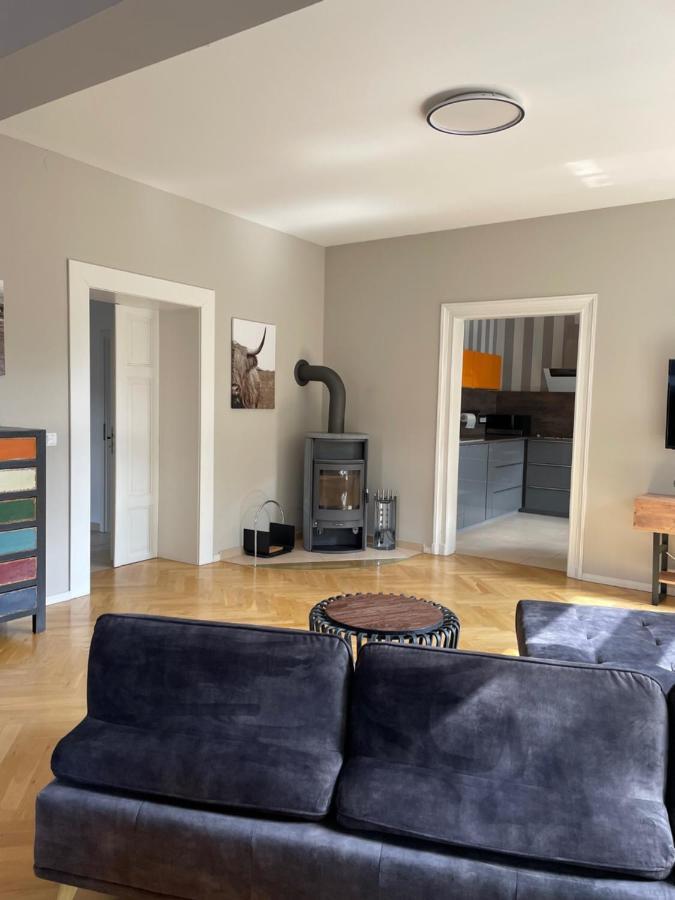 Helle Terrassenwohnung In Traumlage Von Dresden Dış mekan fotoğraf